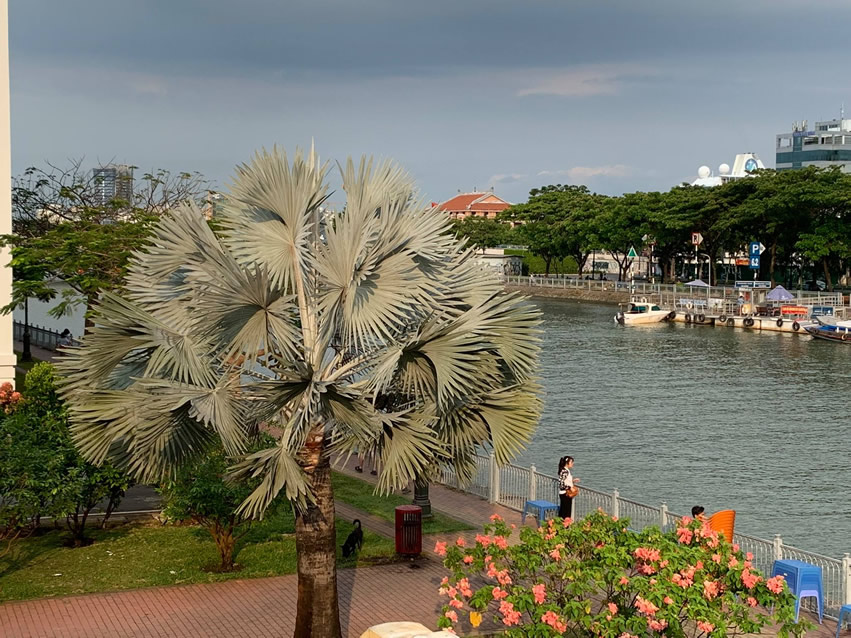 <h2>2019 Vietnam, Hong Kong & Japan Golf Cruise</h2>16 Nights | 4 Rounds | Singapore – Tokyo | March 29 – April 14